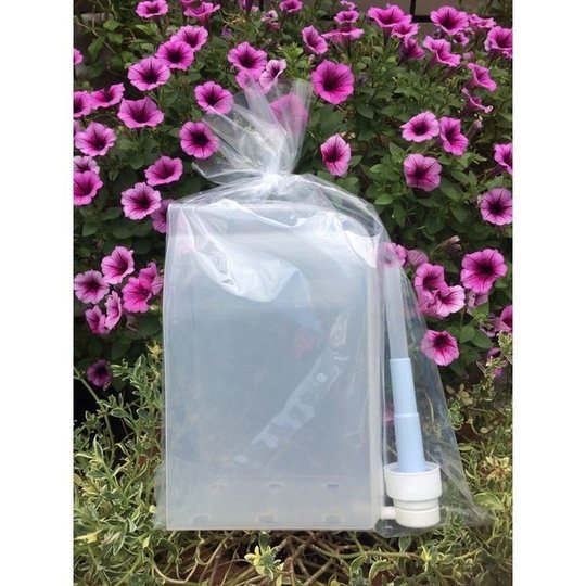 マシンジェル31（エステ使用に） - シンプルケアのサニーセレクト